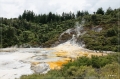 NZ2012_104