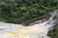 NZ2012_105