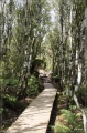 NZ2012_107