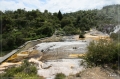 NZ2012_109