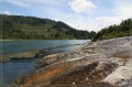 NZ2012_111