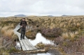 NZ2012_190