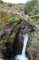 NZ2012_196