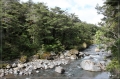 NZ2012_197