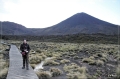 NZ2012_200
