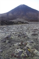 NZ2012_201