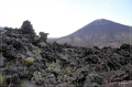 NZ2012_202