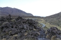 NZ2012_203