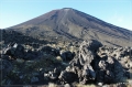 NZ2012_206