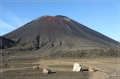NZ2012_208