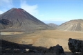 NZ2012_209