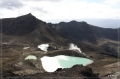 NZ2012_213