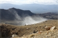 NZ2012_221
