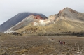 NZ2012_223
