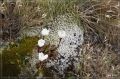 NZ2012_224