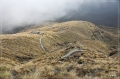 NZ2012_228