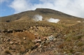 NZ2012_229