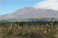 NZ2012_230