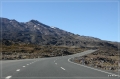 NZ2012_233