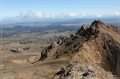 NZ2012_239