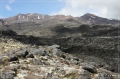 NZ2012_242