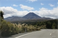 NZ2012_243