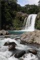 NZ2012_246