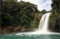 NZ2012_248