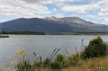 NZ2012_249
