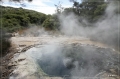NZ2012_250