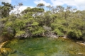 NZ2012_252