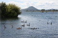 NZ2012_254