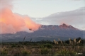 NZ2012_259