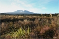 NZ2012_260