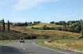 NZ2012_261
