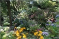 NZ2012_274