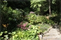 NZ2012_275