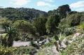 NZ2012_276