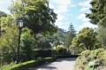 NZ2012_278