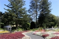 NZ2012_280