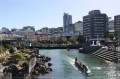 NZ2012_291