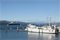 NZ2012_292