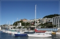 NZ2012_293