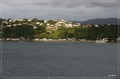 NZ2012_297