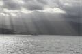 NZ2012_302