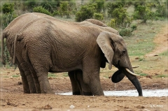 suedafrika_2019_0364