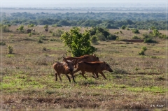 suedafrika_2019_0434