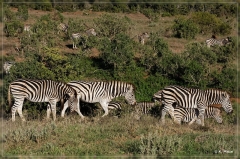 suedafrika_2019_0443