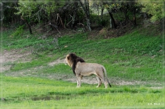 suedafrika_2019_0162