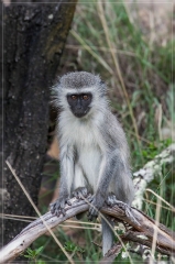 suedafrika_2019_0249